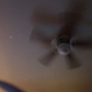 Meet your Posher, Shelby